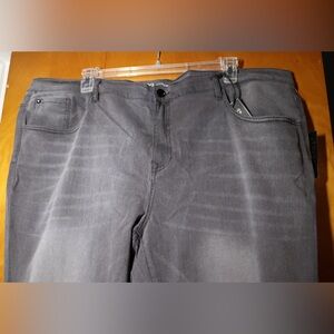 DG2 by Diane Gilman, grey stretch jeans, size 26W